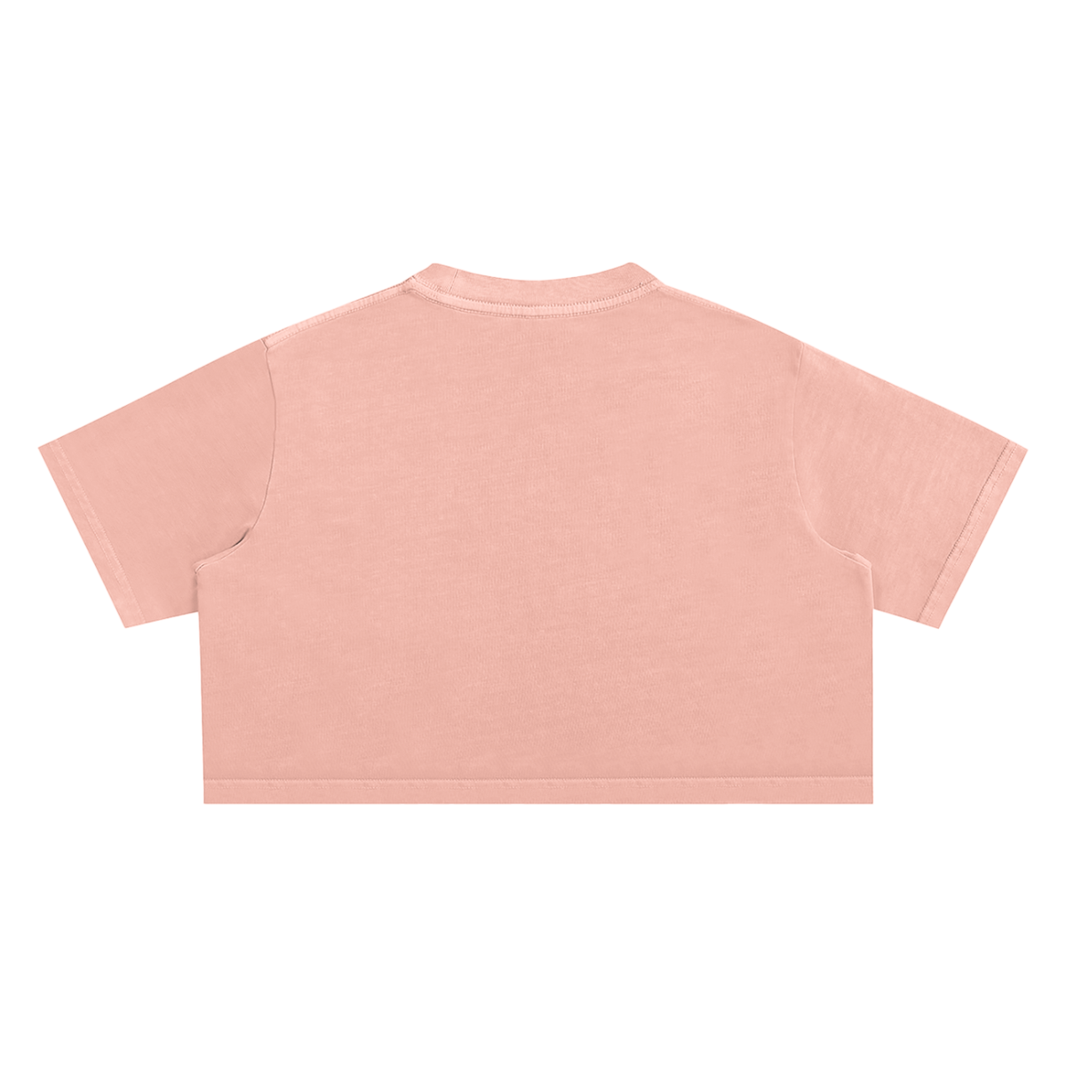 Slight Stretch Snow Washed Crop Top