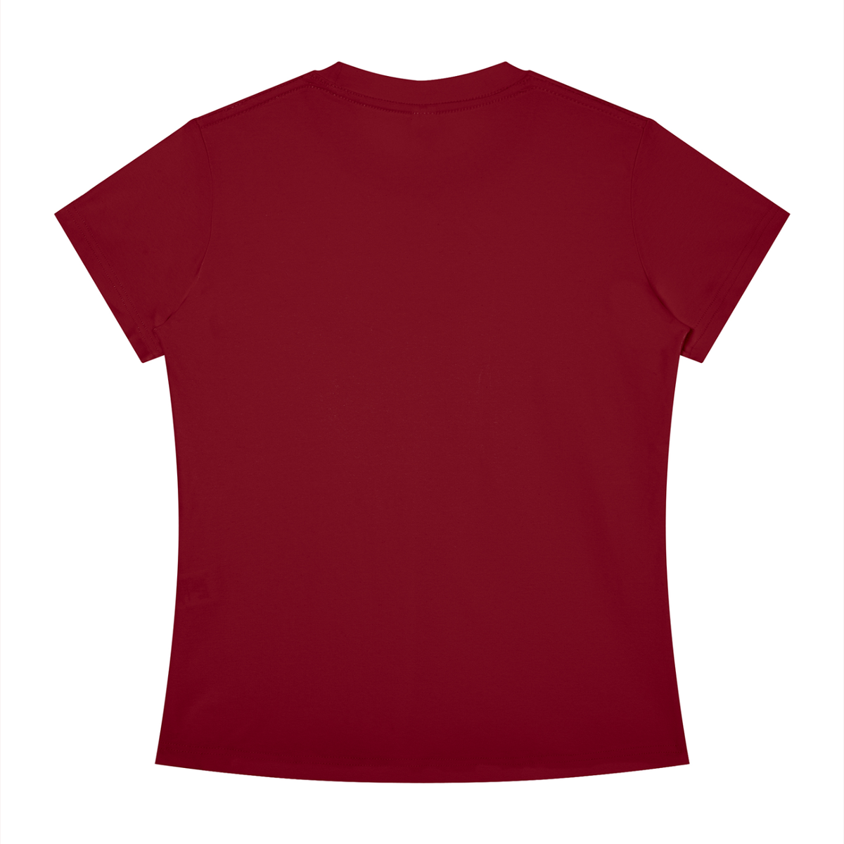 Women's Slim Fit Crewneck T-Shirt: Vote Or It All Burns